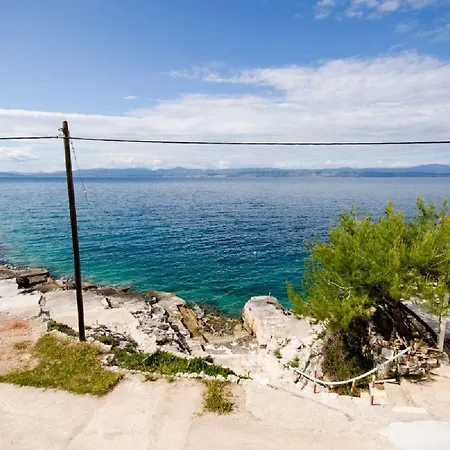 House Barbarina Rogač